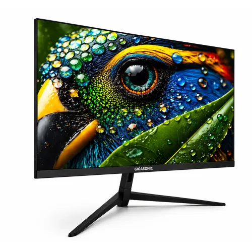 Gigasonic GS-21.5FHD500S9 21.5" 100Hz FHD IPS Gaming Monitor