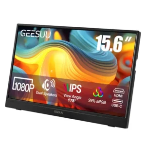 GEESUU LiuHe M156L1F 15.6" FHD IPS Portable Monitor